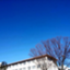 id:nii__no