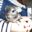 id:ninappe