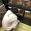 id:nininini_SNDS