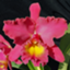 id:nishiguchi4714