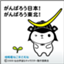 id:nishikata061028