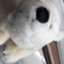 id:nisinisikun