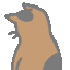 Akari