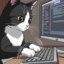 id:nobusan_kyaba