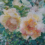 id:nonohanagarden