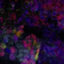 id:nonoharuka
