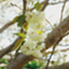 id:nougakubu