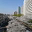 id:nozomi_k