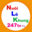 nuoilokhung247tv