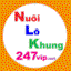 nuoilokhung247vipnet