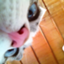 id:nyakoh3