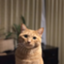 id:nyangoronya