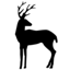 id:obietasika