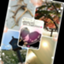 id:obora0710622
