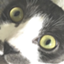id:odd3jp
