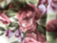 id:ohutondaisuki