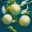 id:oicho_kabu