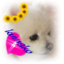 id:ojo10kumakoM