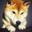 id:okane-benkyo