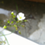 id:okap4651