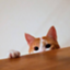 id:okirakujinsei