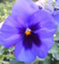 id:omame1986