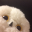 id:one_third_BLUE
