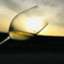 id:onlinewinesalon