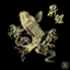 id:osubouzu