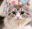 id:otome0201