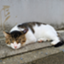 id:otowa202