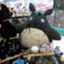 oza__shu