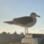 id:p2-003b