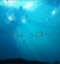 id:pDEsym