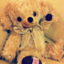 id:pacotton