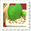 id:padma22