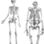 id:paleolithic