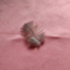 palepink222
