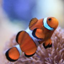 id:partners_okinawa