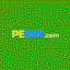 pe888combr
