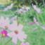 id:peace_hello
