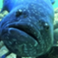 id:pencil_sharpener