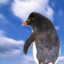 id:penguin17_33oyaji