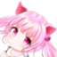 id:penwhy