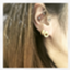 id:pettanpon
