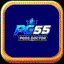 pg55doctor
