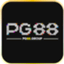 pg88group