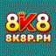 ph8k8p