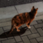 id:plmberg