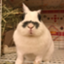 id:ponpoko0420